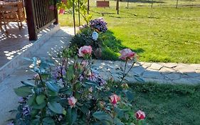 Apartmani Petar